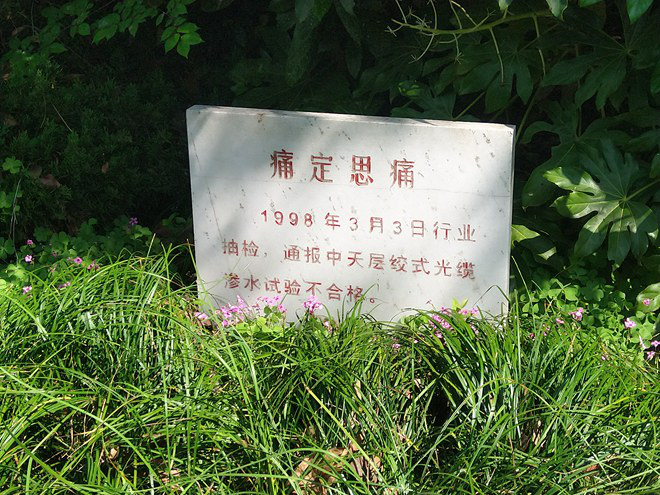 Z6ʱ(й)-ٷվ